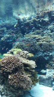 f:id:satera4649:20180530202042j:plain f:id:satera4649:20180530202042j:plain