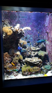 f:id:satera4649:20180530202103j:plain f:id:satera4649:20180530202103j:plain