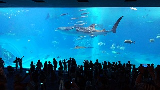 f:id:satera4649:20180530202132j:plain f:id:satera4649:20180530202132j:plain