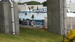 f:id:satera4649:20180530202145j:plain f:id:satera4649:20180530202145j:plain