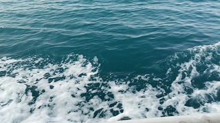 f:id:satera4649:20180530204211j:plain f:id:satera4649:20180530204211j:plain