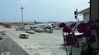 f:id:satera4649:20180530204303j:plain f:id:satera4649:20180530204303j:plain