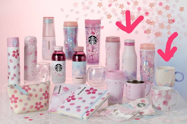 f:id:satera4649:20190215181006j:image f:id:satera4649:20190215181006j:image