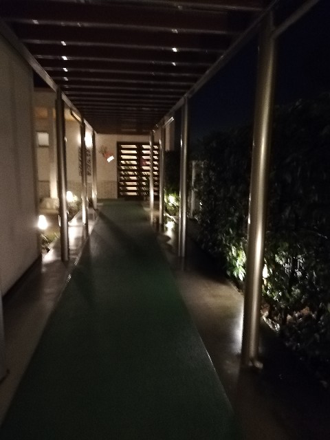 f:id:satera4649:20190220085354j:image f:id:satera4649:20190220085354j:image