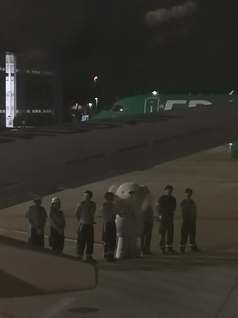 f:id:satera4649:20191029211813j:image