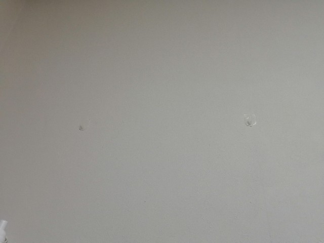 f:id:satera4649:20200215081600j:image f:id:satera4649:20200215081600j:image