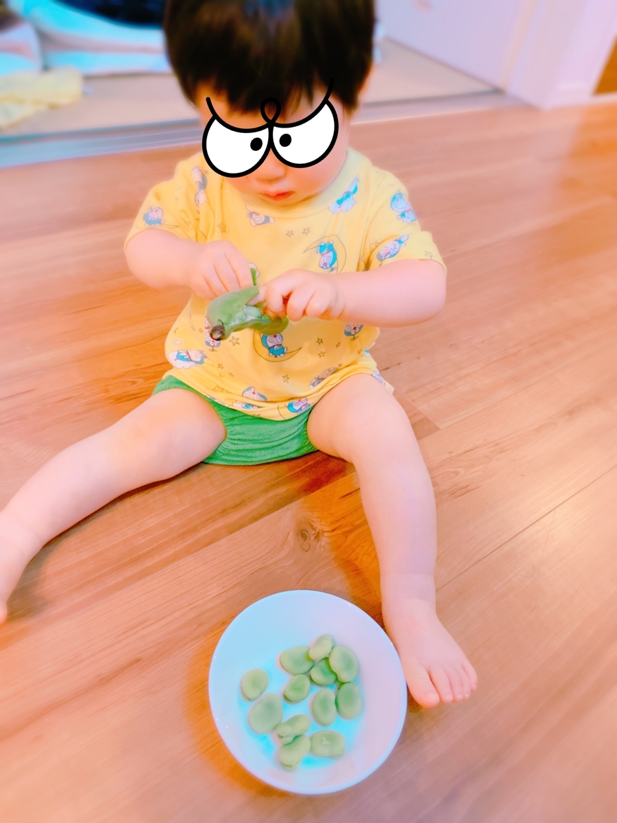 f:id:satikodon:20200511225408j:plain f:id:satikodon:20200511225408j:plain