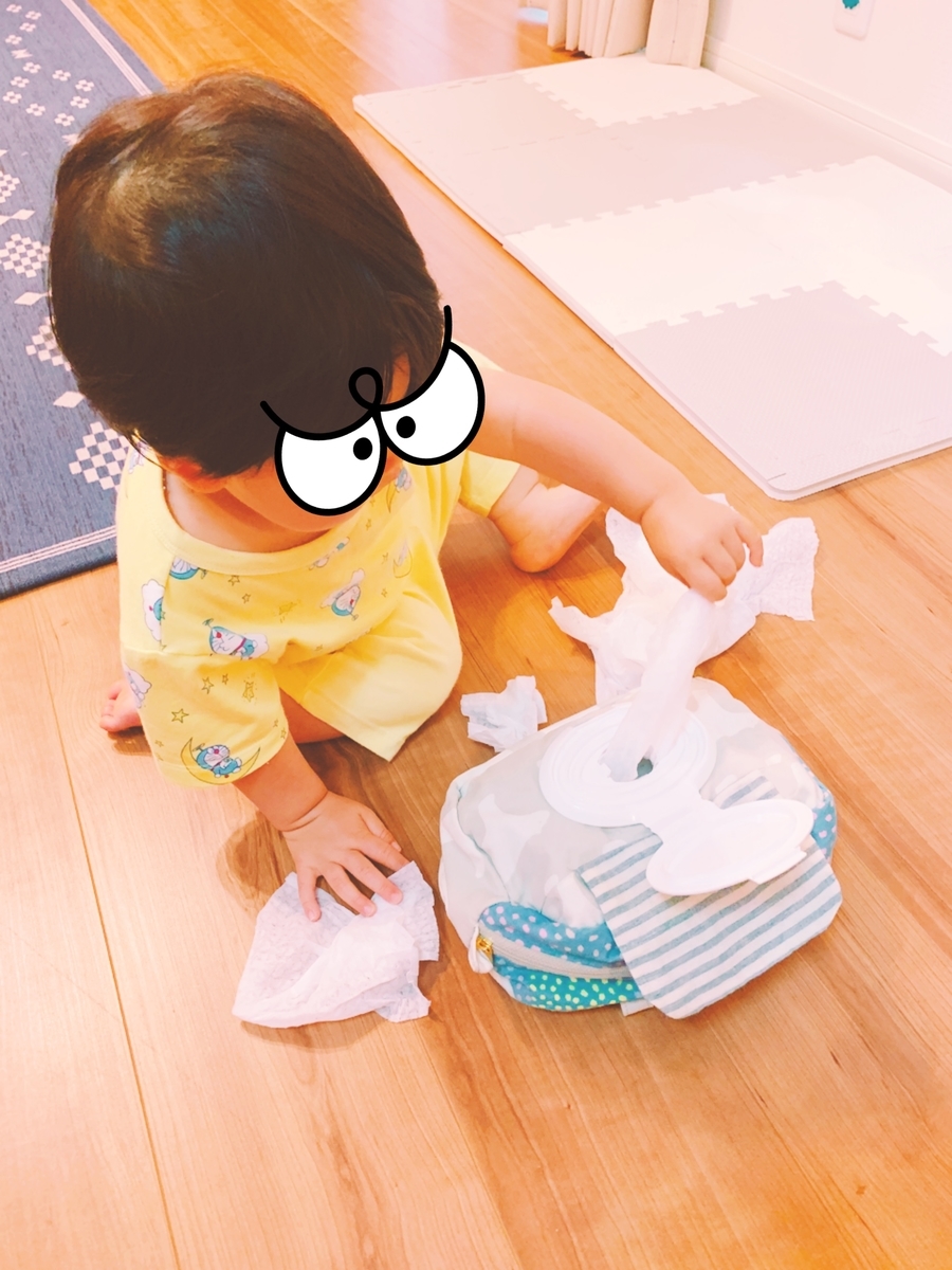 f:id:satikodon:20200530224627j:plain