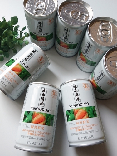 サンスター『健康道場 カラダにユウキ 緑黄野菜』試してみました