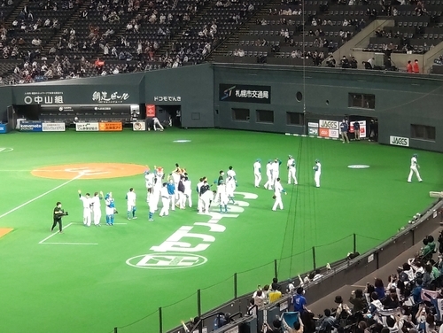 しゃけまるの日 vs ソフトバンクホークス - satira's diary