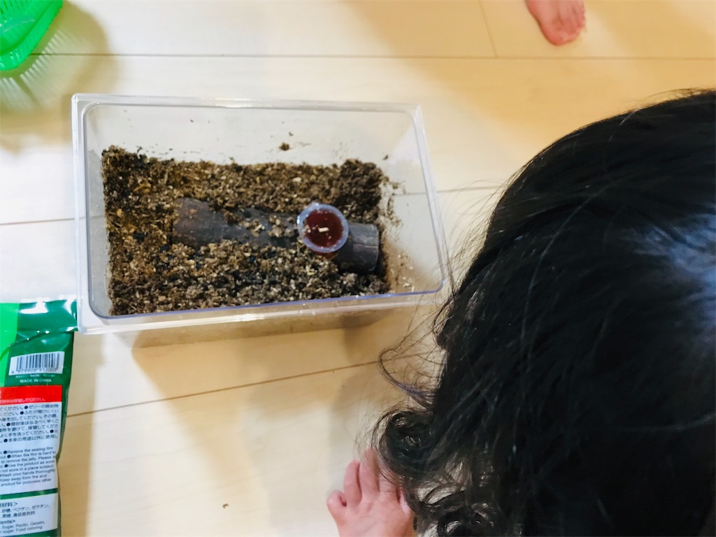 f:id:satkoto:20190706114104j:image f:id:satkoto:20190706114104j:image