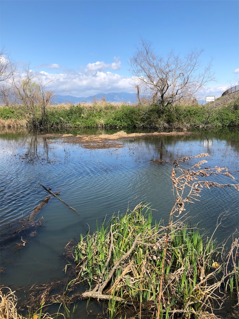 f:id:sato-c40:20190511161813j:image f:id:sato-c40:20190511161813j:image
