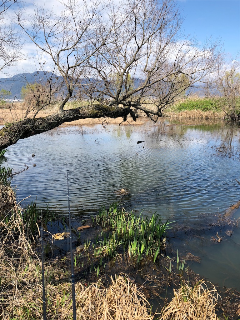 f:id:sato-c40:20190511161817j:image f:id:sato-c40:20190511161817j:image