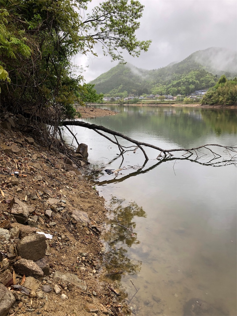 f:id:sato-c40:20190513073043j:image f:id:sato-c40:20190513073043j:image