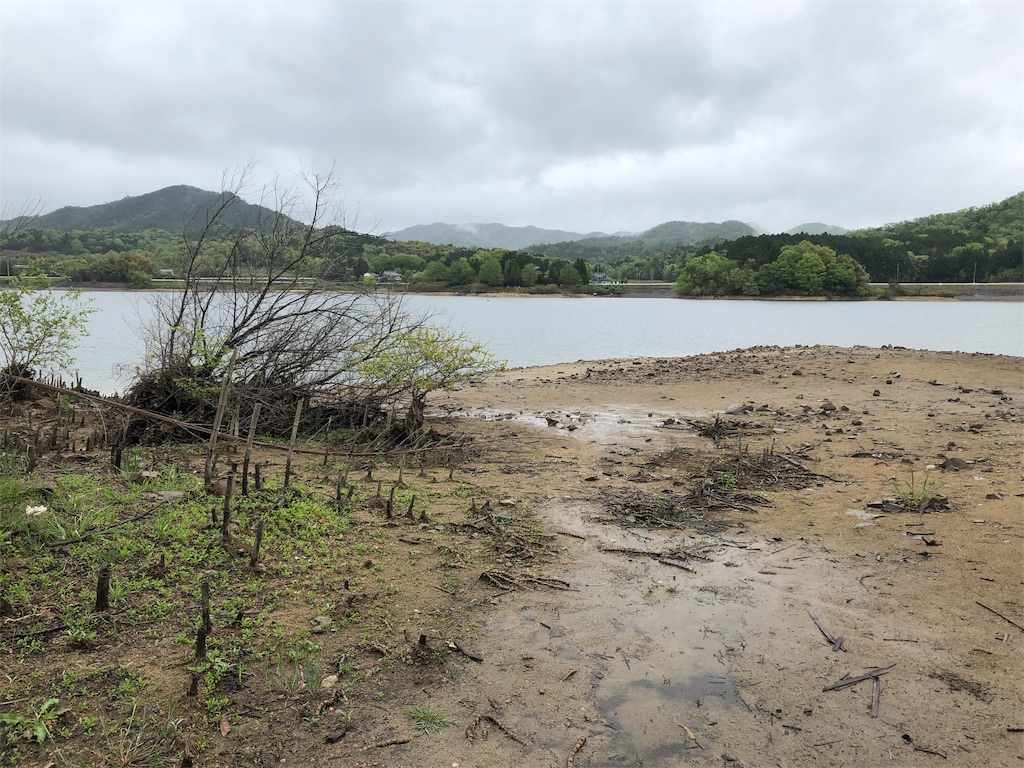 f:id:sato-c40:20190513135538j:image f:id:sato-c40:20190513135538j:image