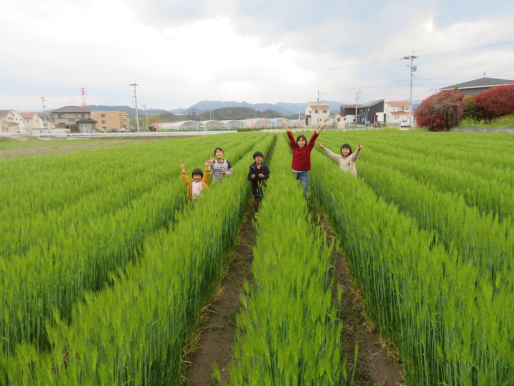 f:id:sato-shizen-nouen:20190911170656j:plain