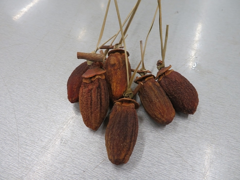 イメージ 10