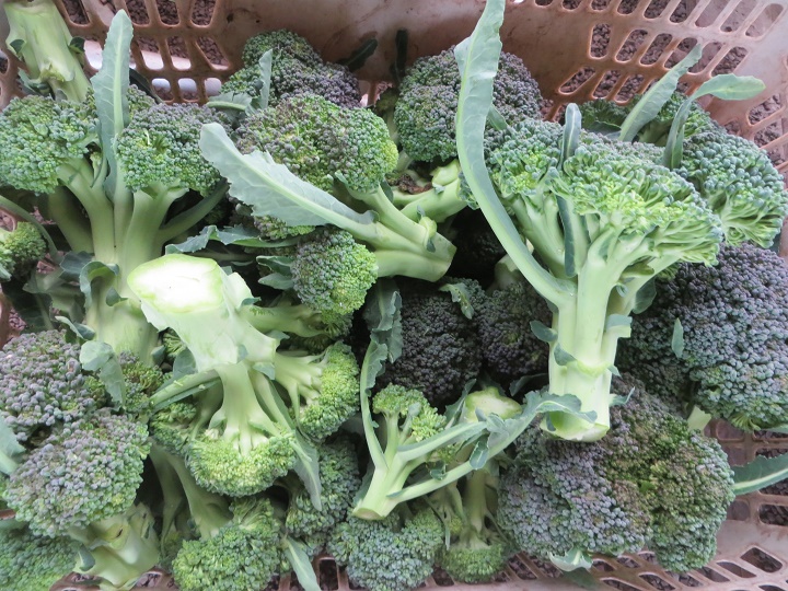 イメージ 9