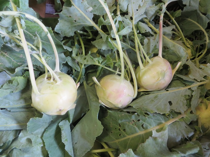 イメージ 6