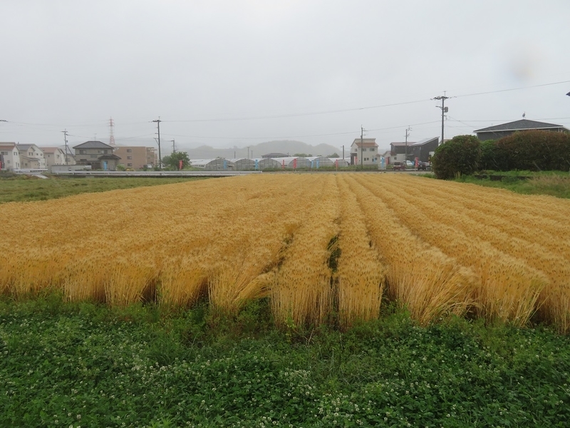 イメージ 1