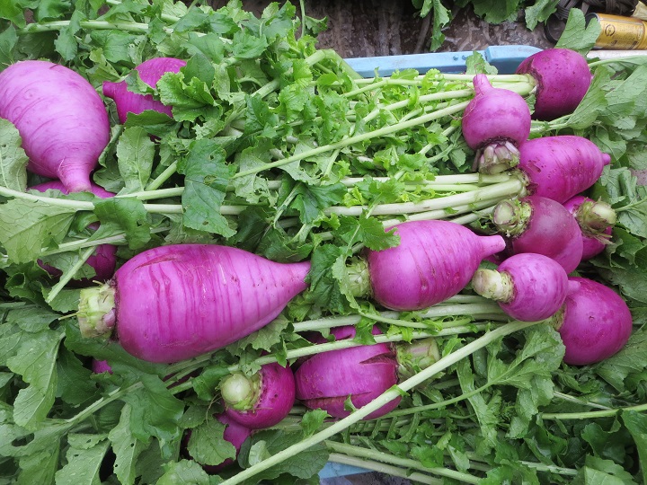 イメージ 3