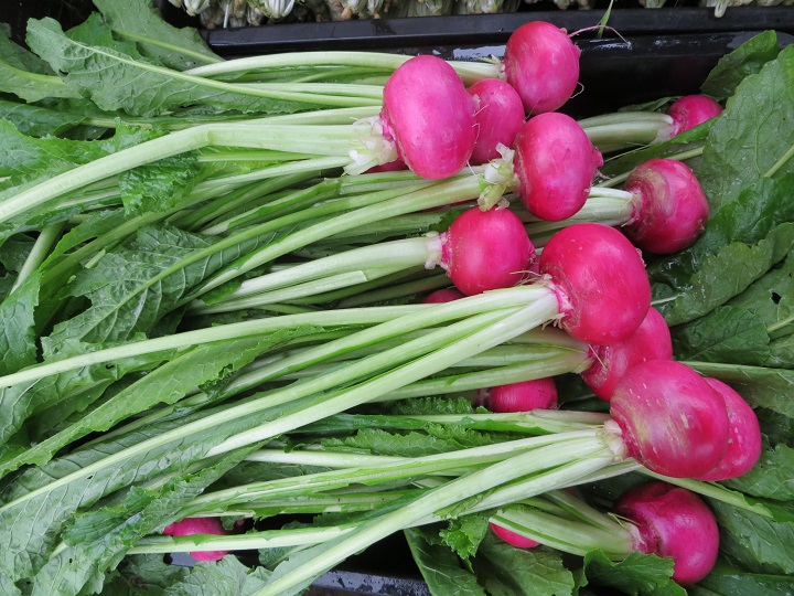 イメージ 5