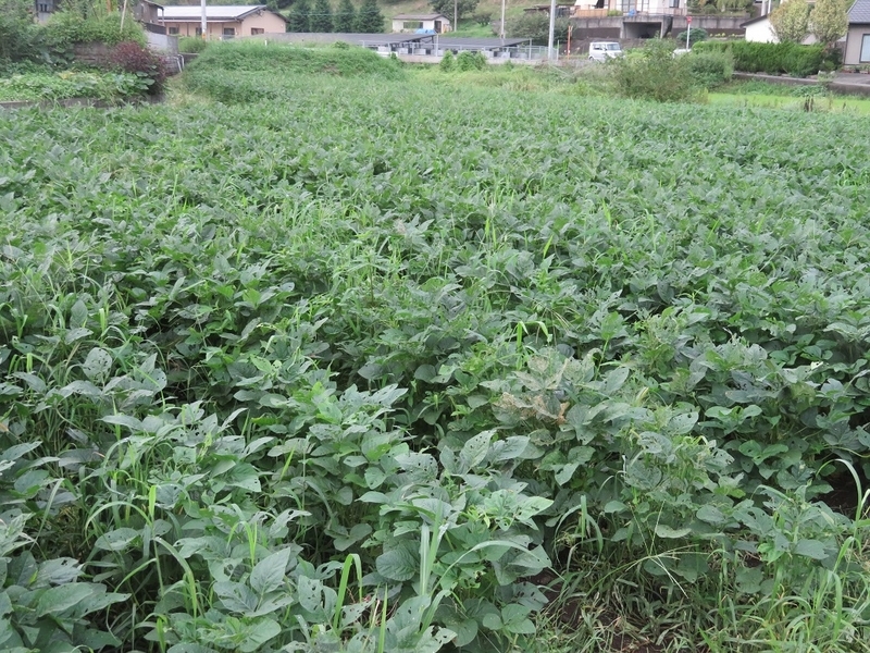 イメージ 12