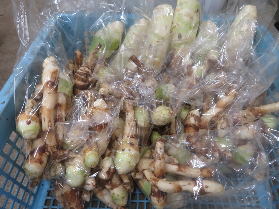 f:id:sato-shizen-nouen:20190916193123j:plain