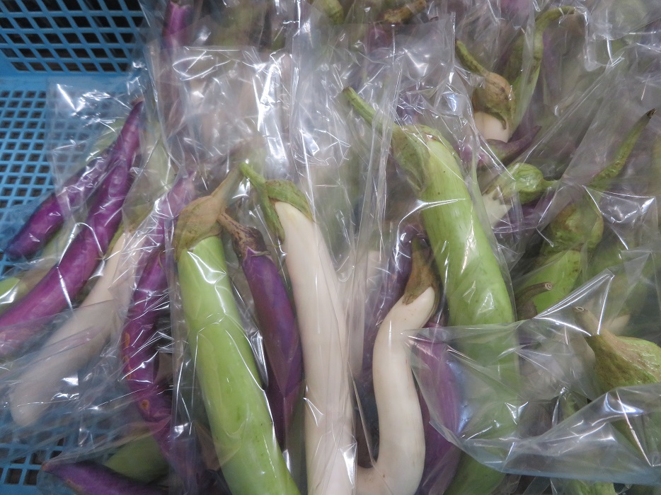 f:id:sato-shizen-nouen:20200908194533j:plain