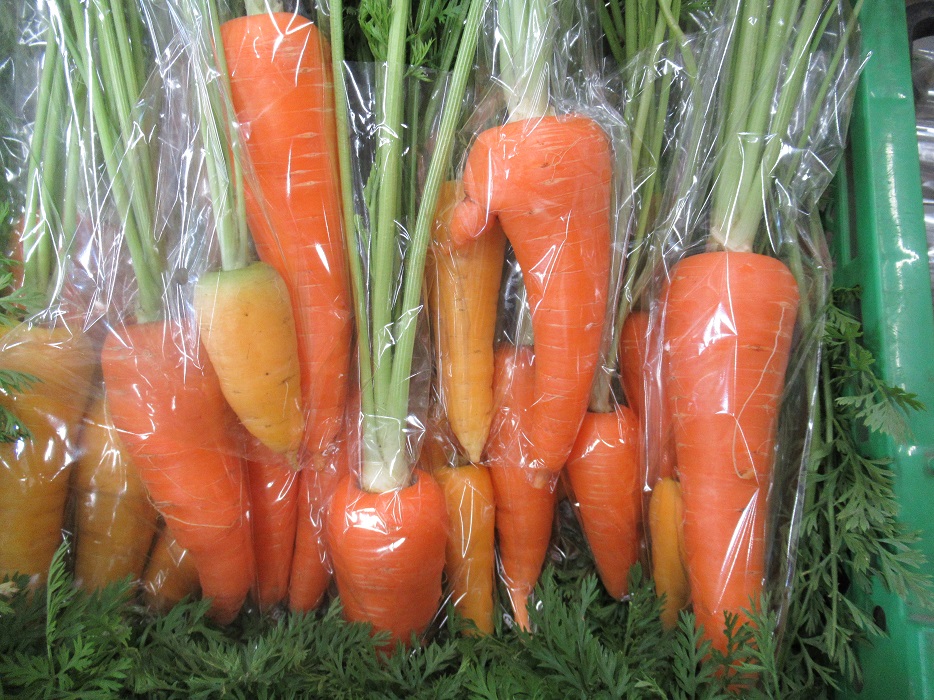 f:id:sato-shizen-nouen:20210607215337j:plain