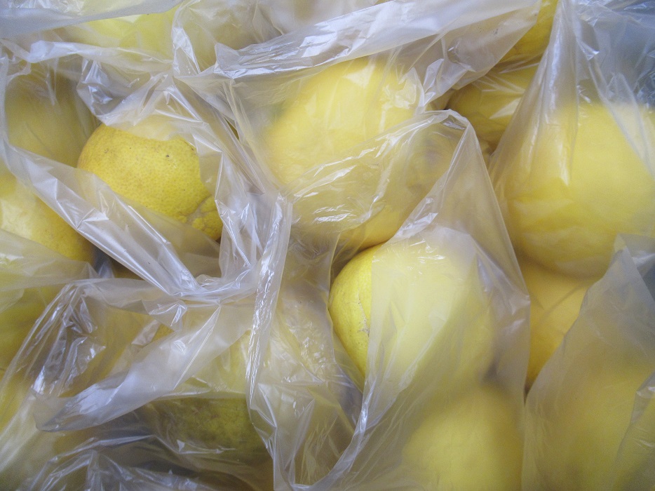 f:id:sato-shizen-nouen:20220131182530j:plain
