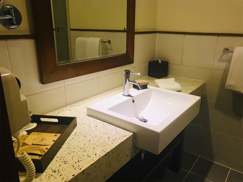 f:id:sato0445:20200127110237j:image