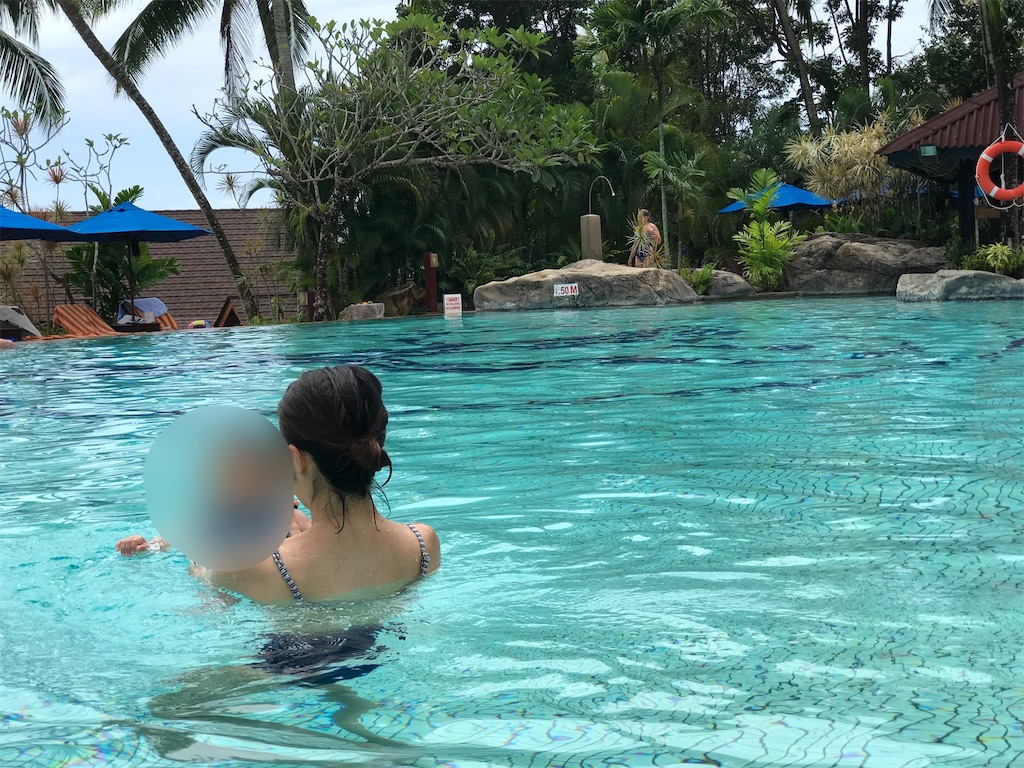 f:id:sato0445:20200127201304j:image