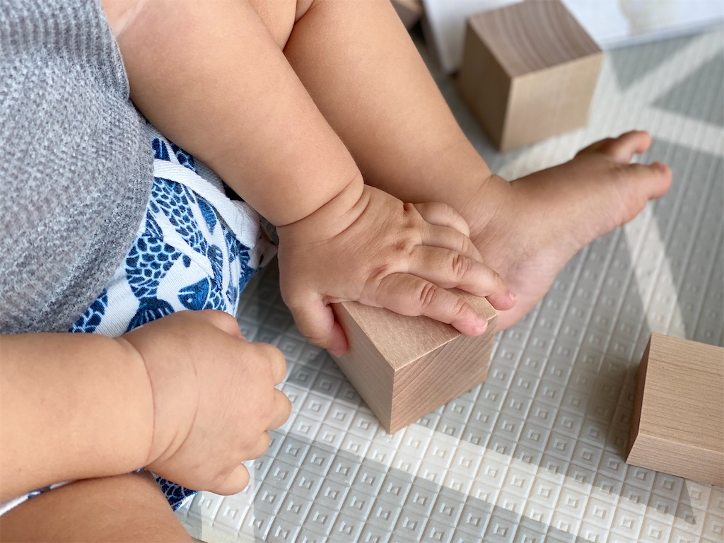 f:id:sato0445:20200204222251j:image