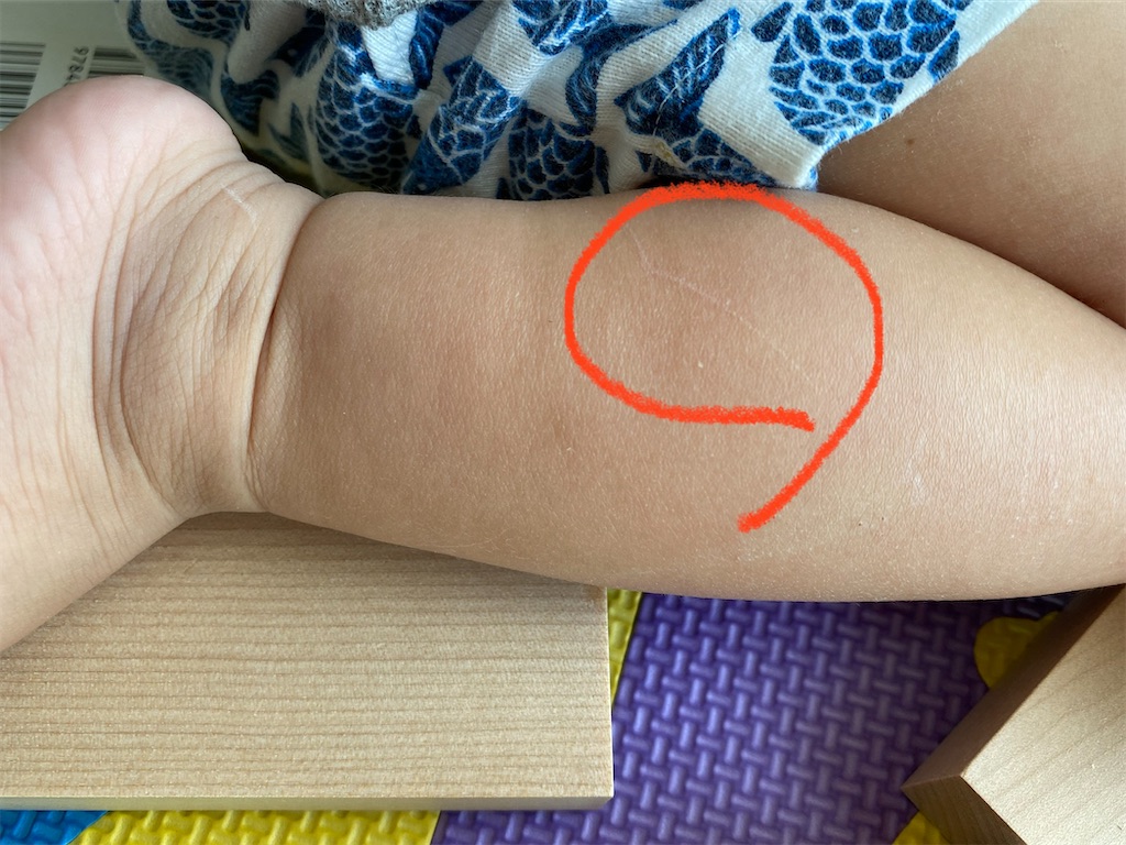 f:id:sato0445:20200205011226j:image