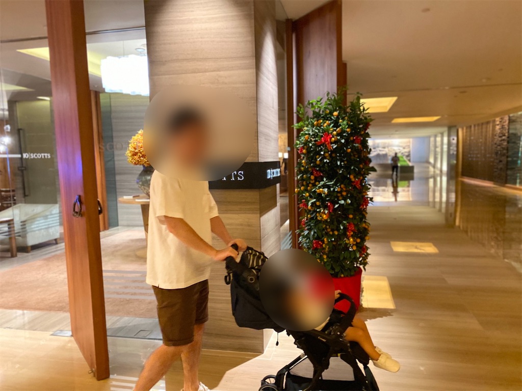 f:id:sato0445:20200208193217j:image f:id:sato0445:20200208193217j:image