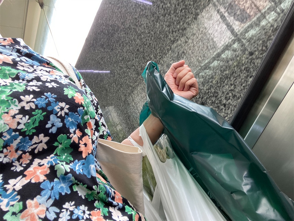 f:id:sato0445:20200209172850j:image