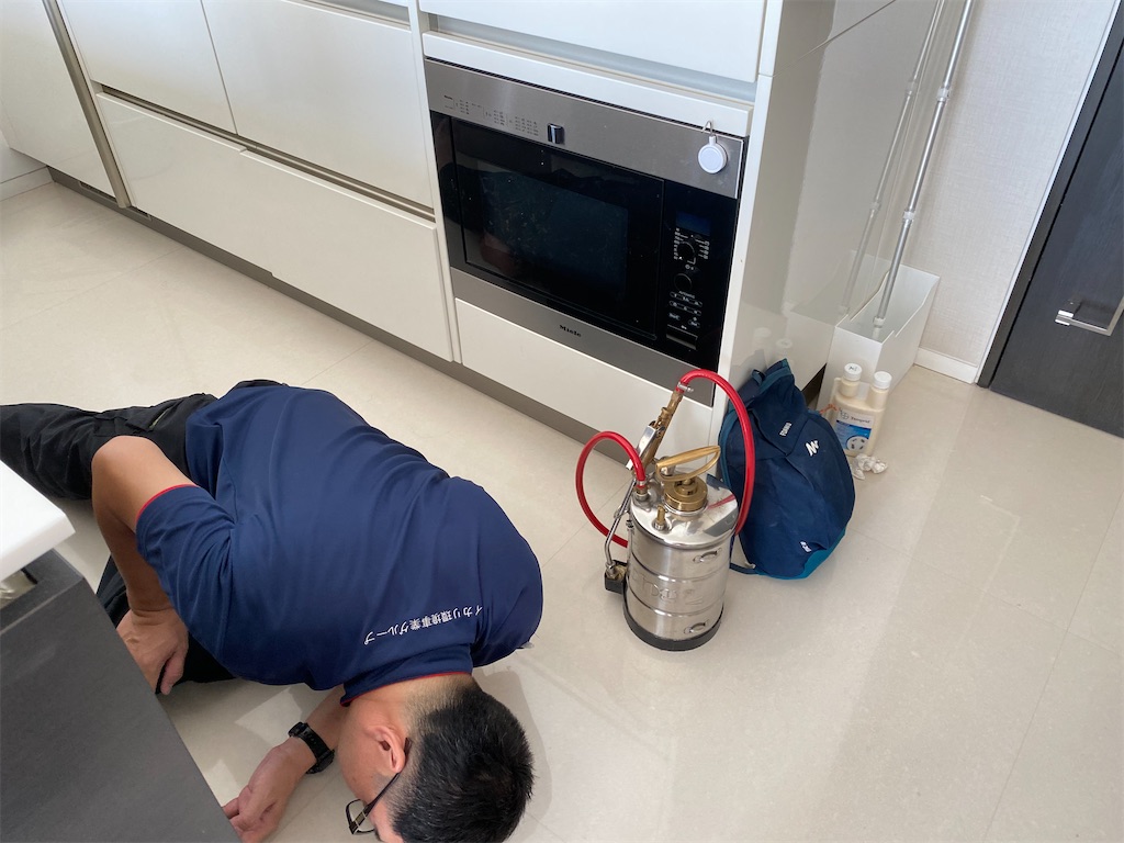 f:id:sato0445:20200313121347j:image