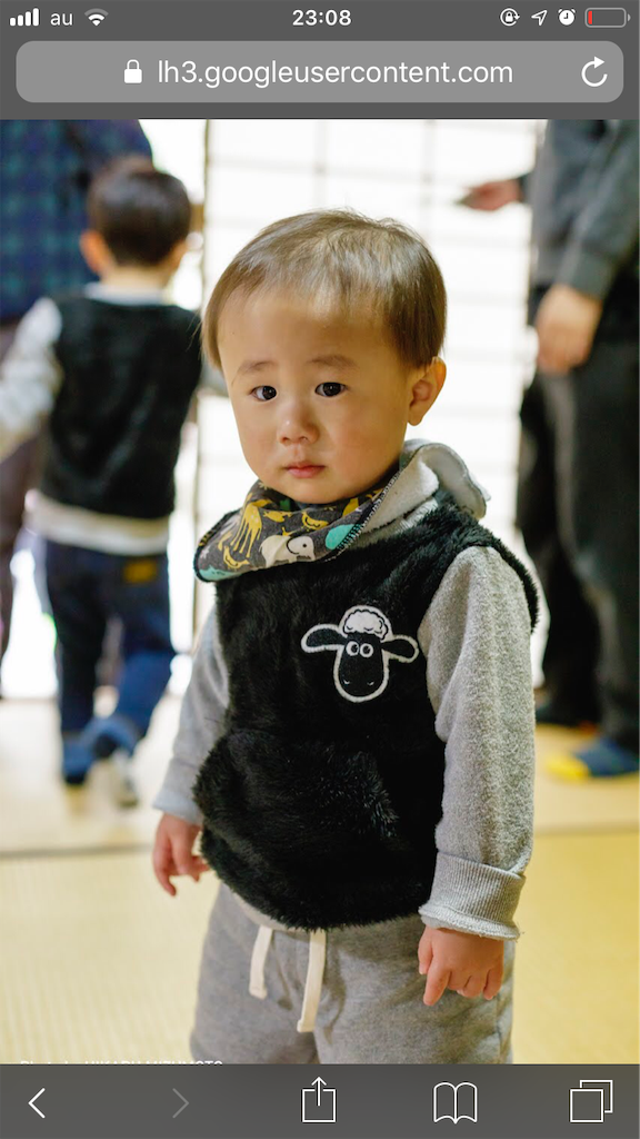 f:id:sato0604:20190402165713p:image