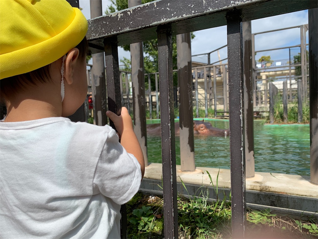 f:id:sato0604:20191018154515j:image f:id:sato0604:20191018154515j:image