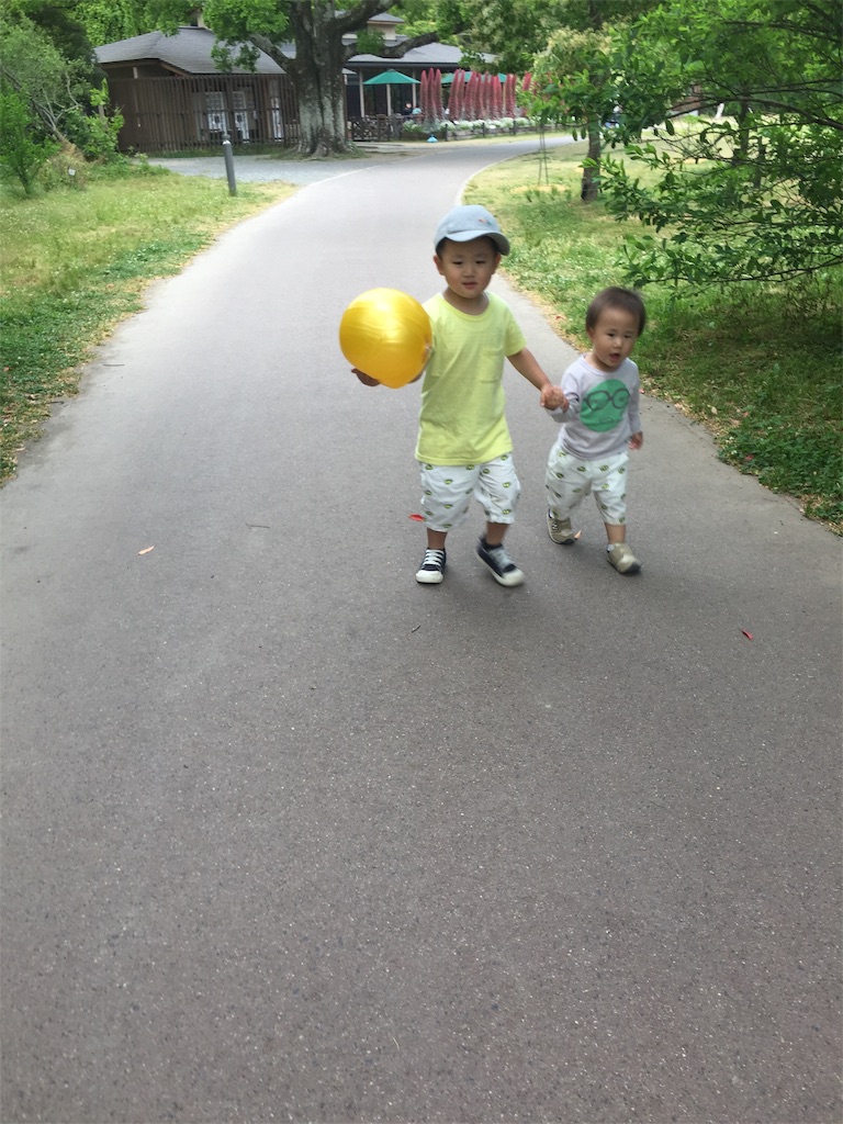 f:id:sato0604:20191018205006j:image f:id:sato0604:20191018205006j:image