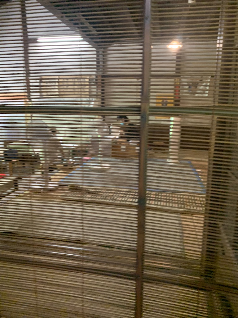 f:id:sato0604:20200816151015j:image