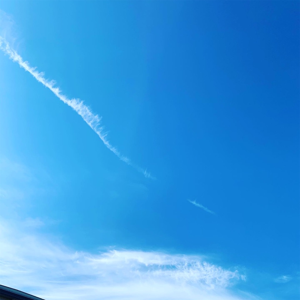 f:id:sato0604:20201102202246j:image