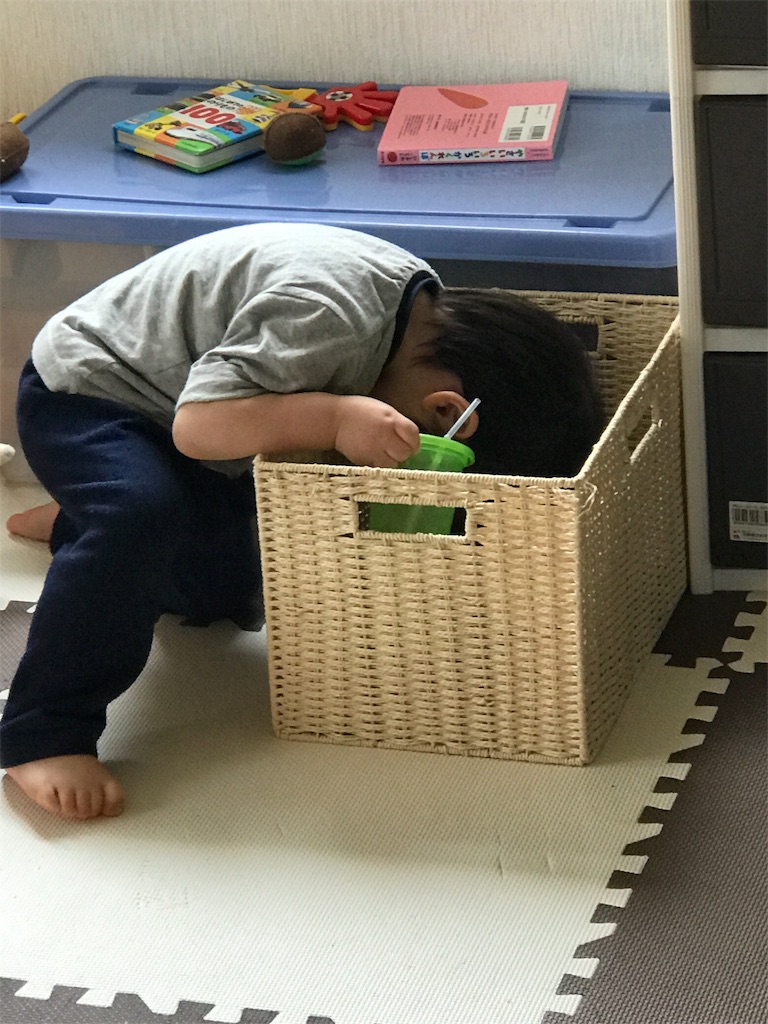 f:id:sato1539:20180322174746j:image f:id:sato1539:20180322174746j:image