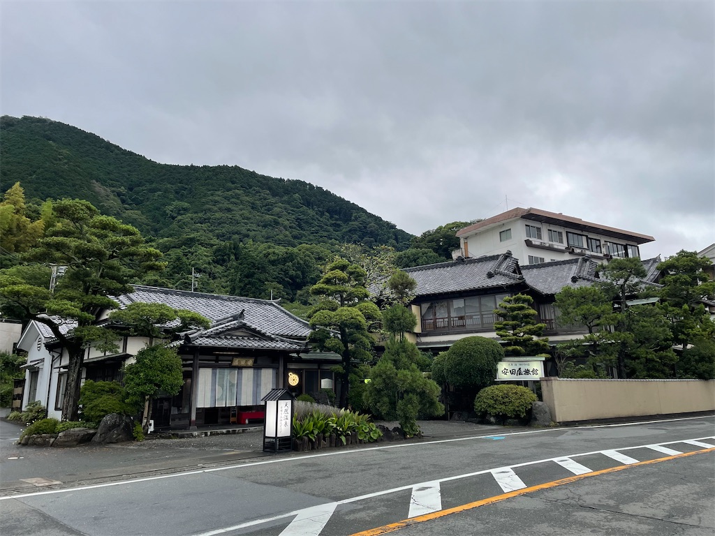 f:id:sato2133:20210715074944j:image f:id:sato2133:20210715074944j:image