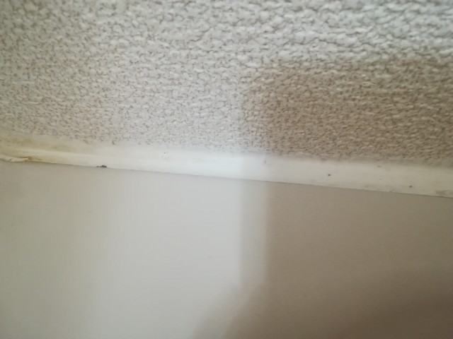 f:id:sato25:20190927091016j:image f:id:sato25:20190927091016j:image