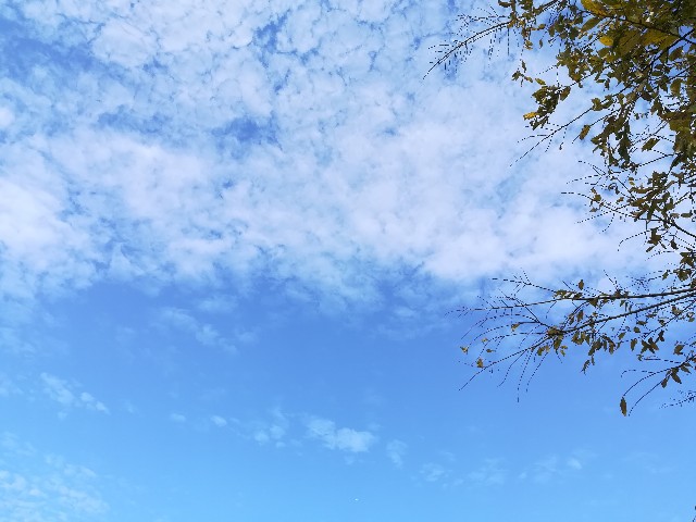 f:id:sato25:20191205103531j:image