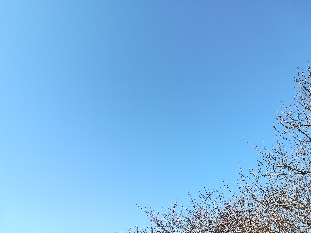 f:id:sato25:20200110104405j:image