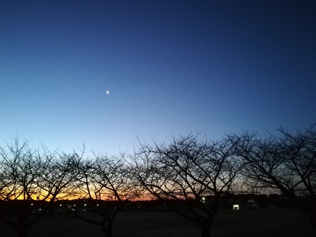 f:id:sato25:20200208113352j:plain