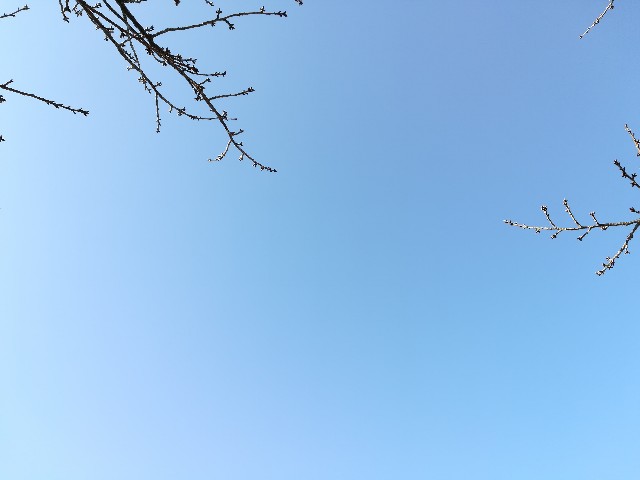 f:id:sato25:20210129105346j:plain